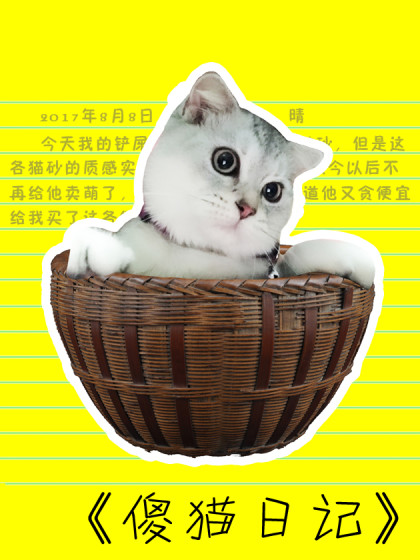 傻猫日记海报剧照
