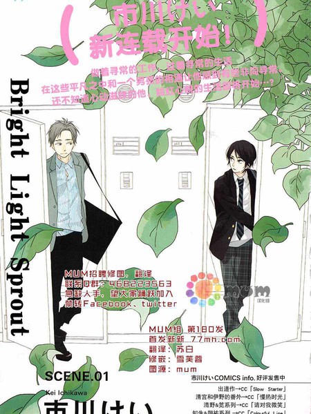 bright light sprout海报剧照